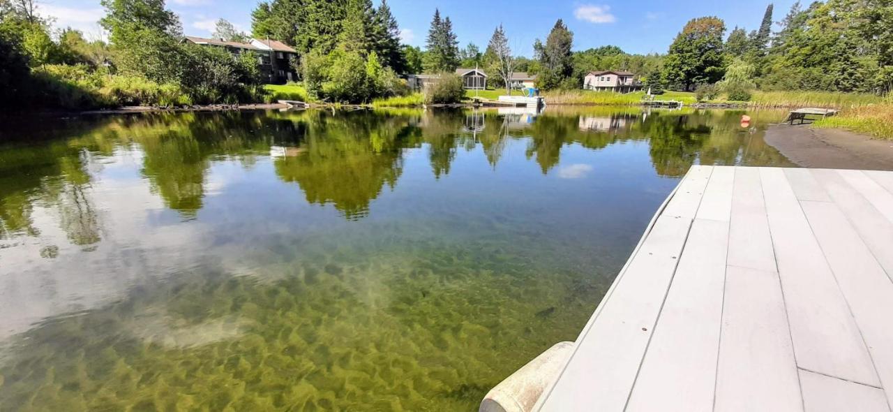 Beautiful 3 Bdrm + Bunkie Waterfront Cottage Near Gull Lake Minden エクステリア 写真